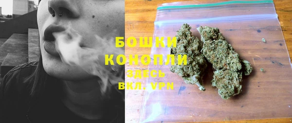 МДПВ Каменка
