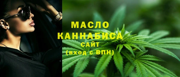 МДПВ Каменка