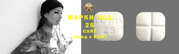 МДПВ Каменка