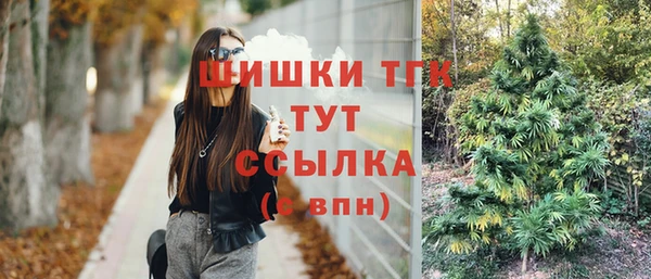 МДПВ Каменка