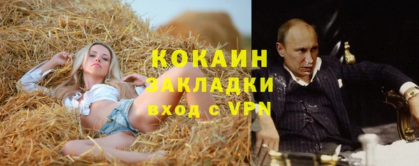МДПВ Каменка
