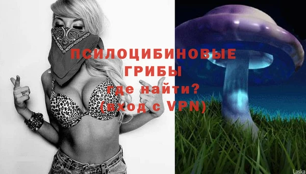 спиды Болотное
