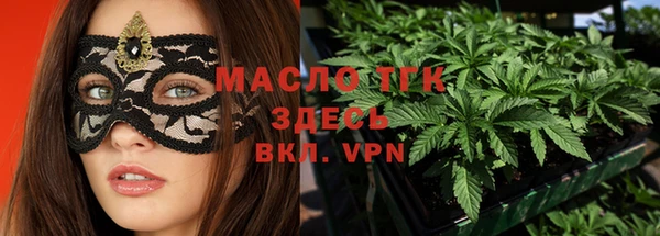 МДПВ Каменка
