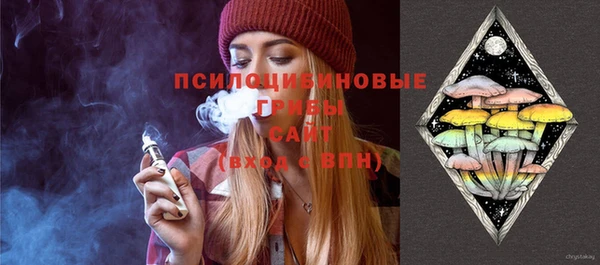 спиды Болотное
