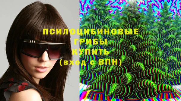 МДПВ Каменка