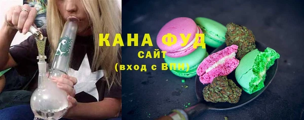МДПВ Каменка