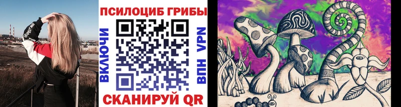 Псилоцибиновые грибы Cubensis  Киренск 