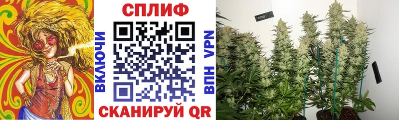 Бошки марихуана тримм  где найти   Киренск 
